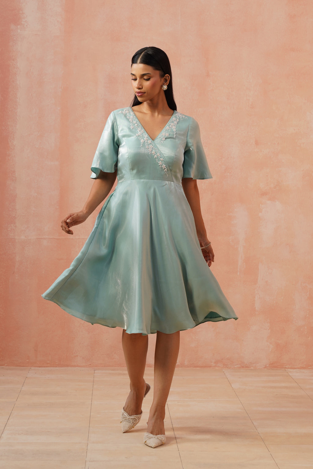 Celeste Embroidered Flare Dress