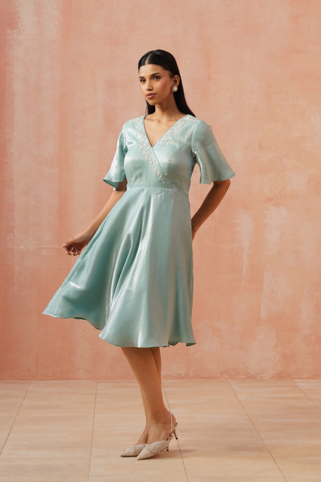 Celeste Embroidered Flare Dress