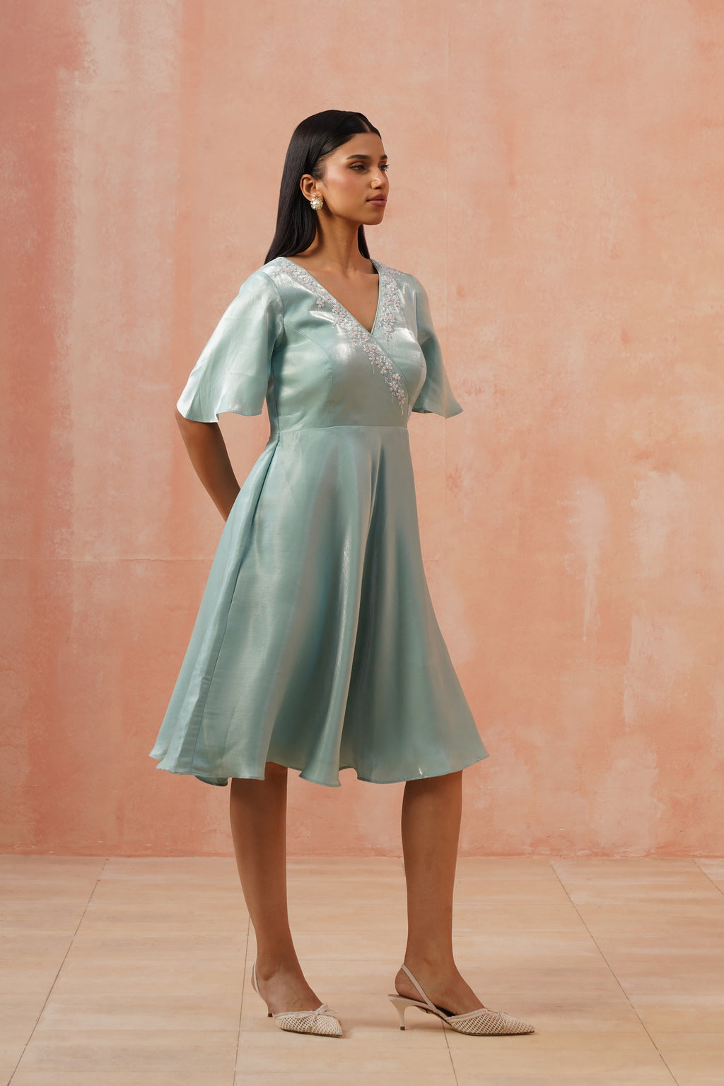Celeste Embroidered Flare Dress