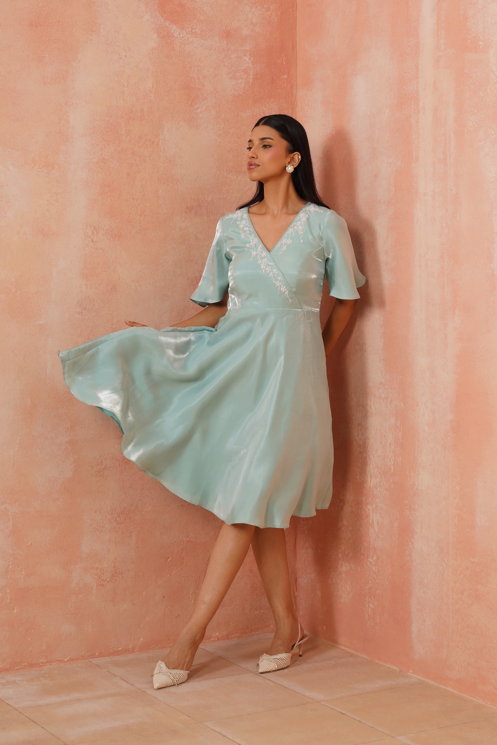 Celeste Embroidered Flare Dress